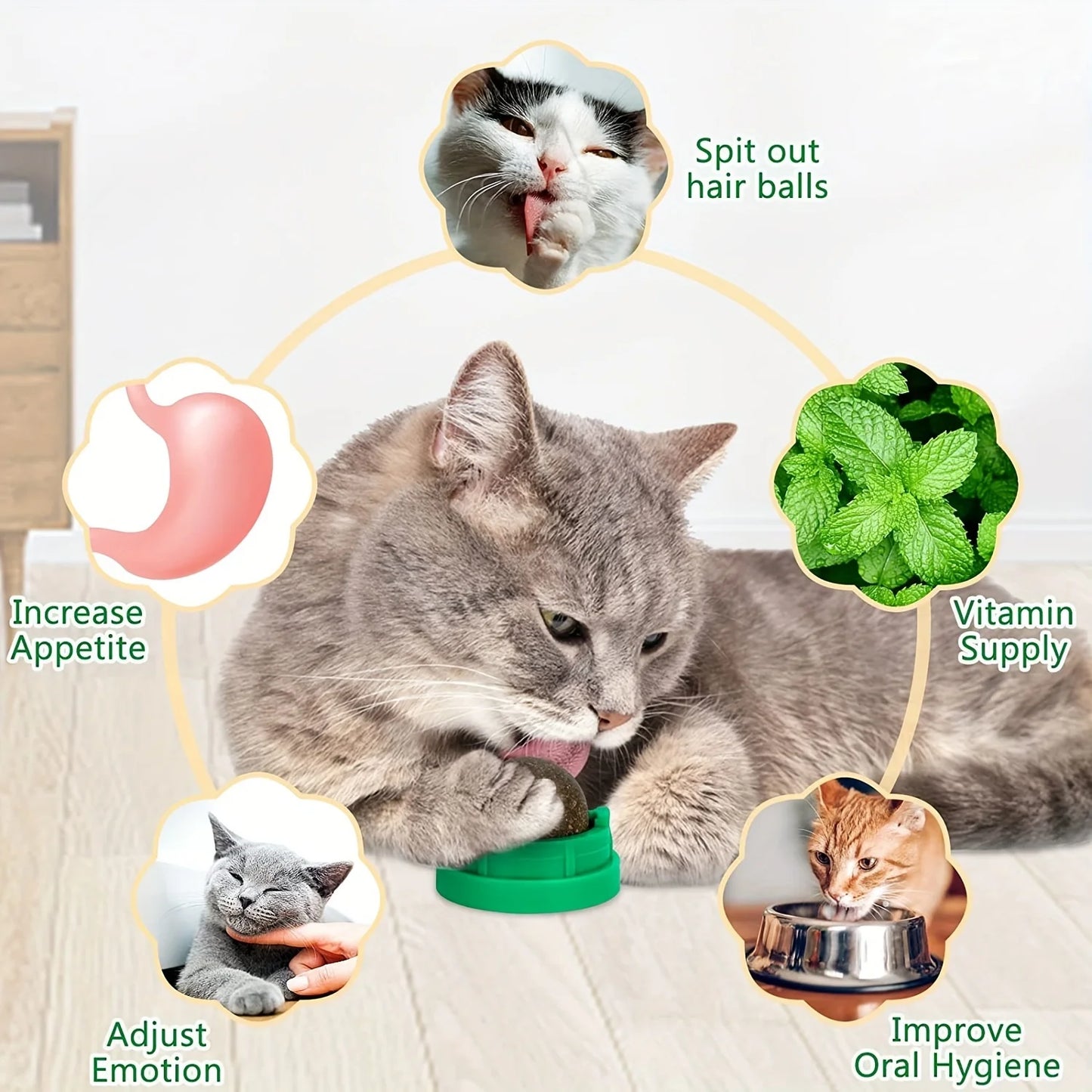 Wall Ball for cats 4 Pack Catnip Toys