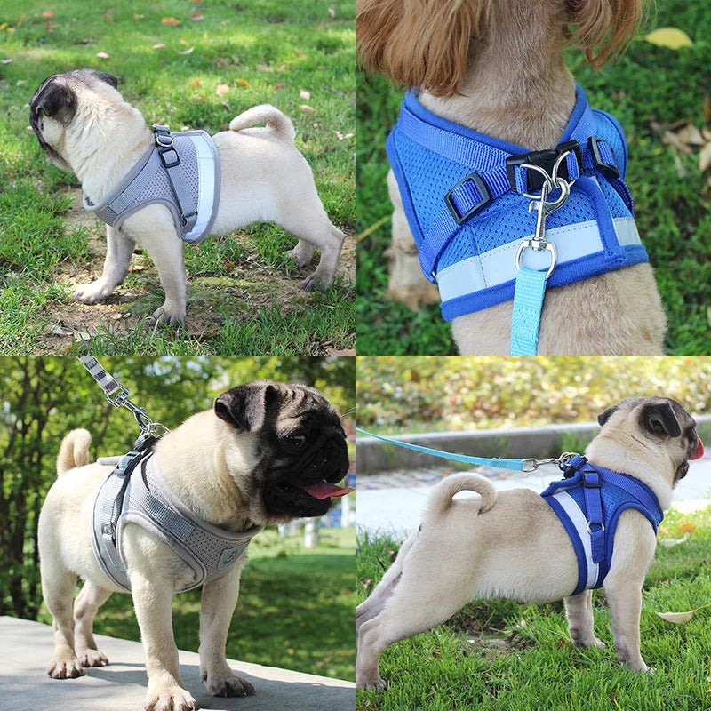 Reflective Harness with Leash Adjustable Pet Harnesses Vest