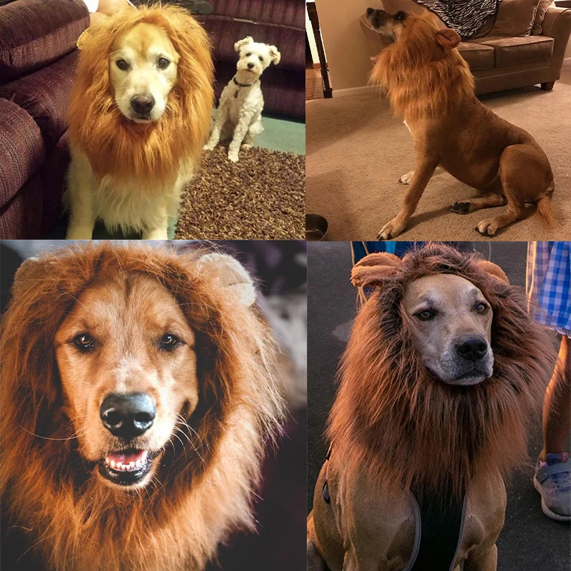 Cute Lion Mane Dog Wig Pet Cosplay Clothes With Tail for Dogs