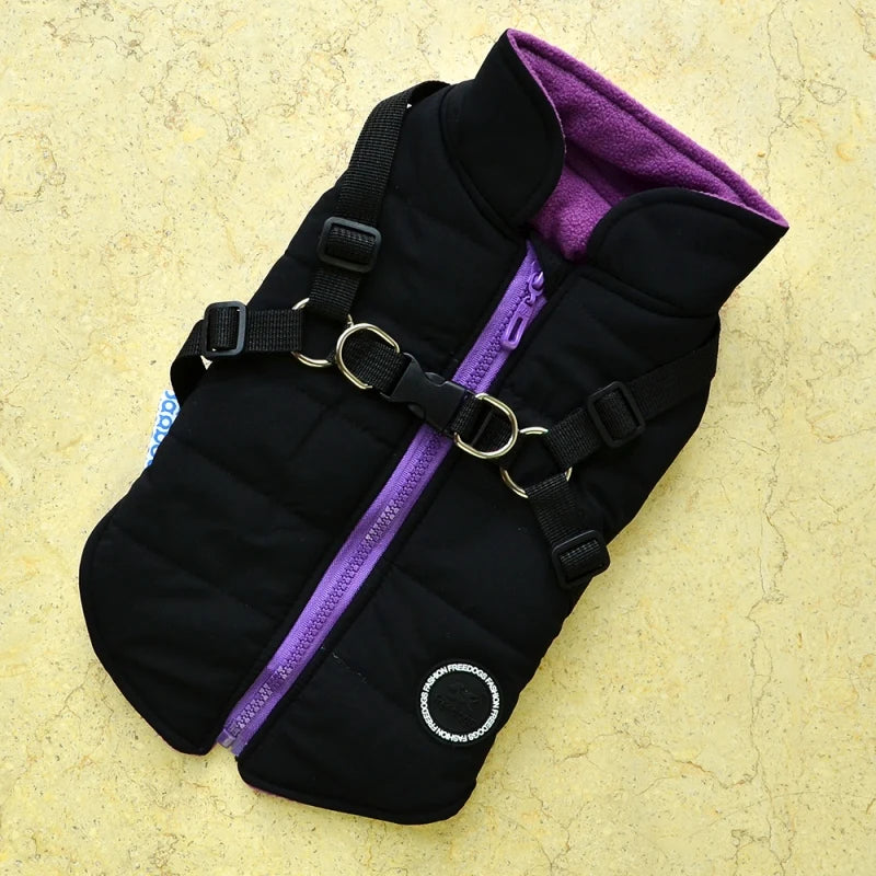 Winter Pet Dog Jacket With Buckle Labrador