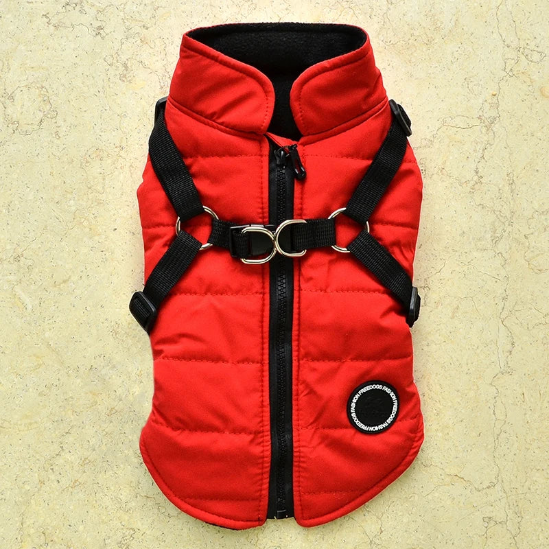 Winter Pet Dog Jacket With Buckle Labrador