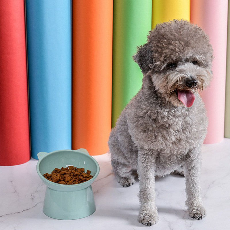 Pet Bowl with Raised Stand For Cat Or dog feeder