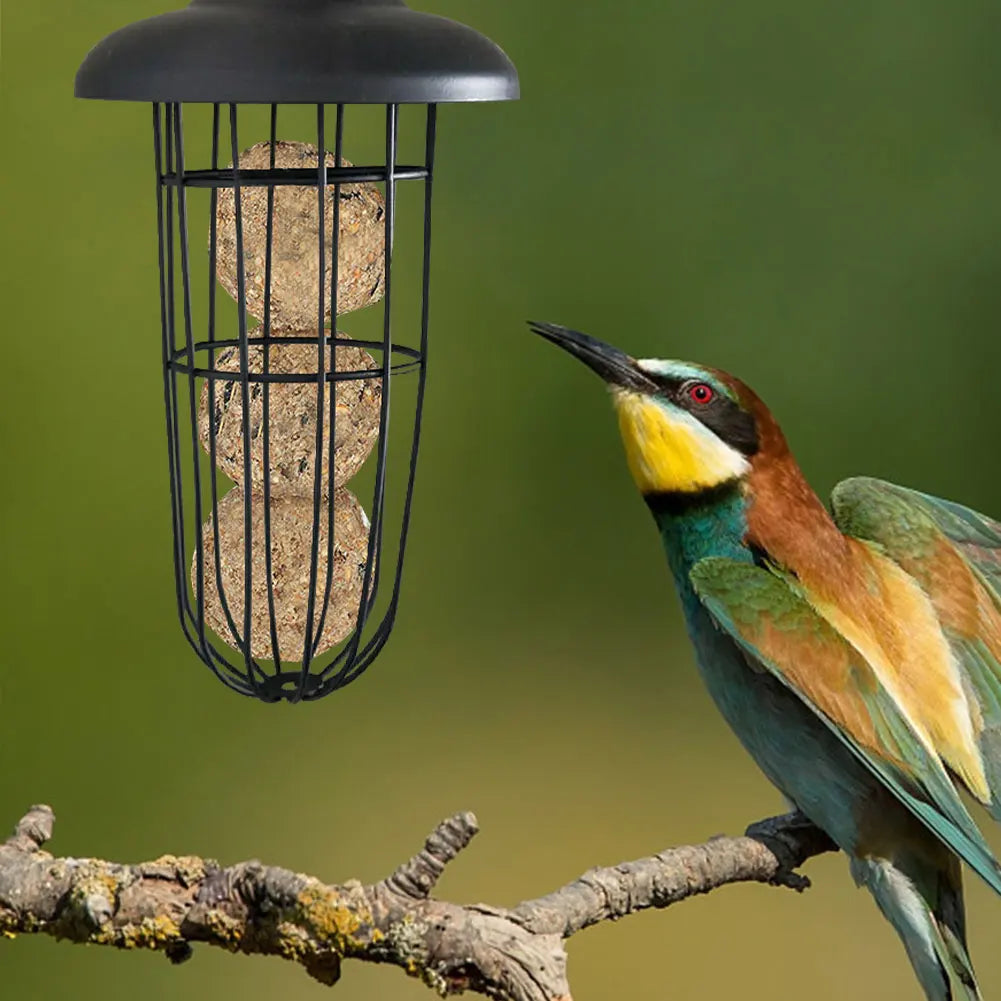 Hanging Bird Feeder Automatic Bird Food