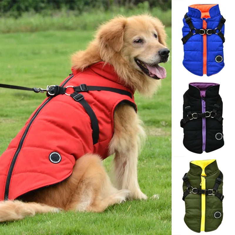 Winter Pet Dog Jacket With Buckle Labrador