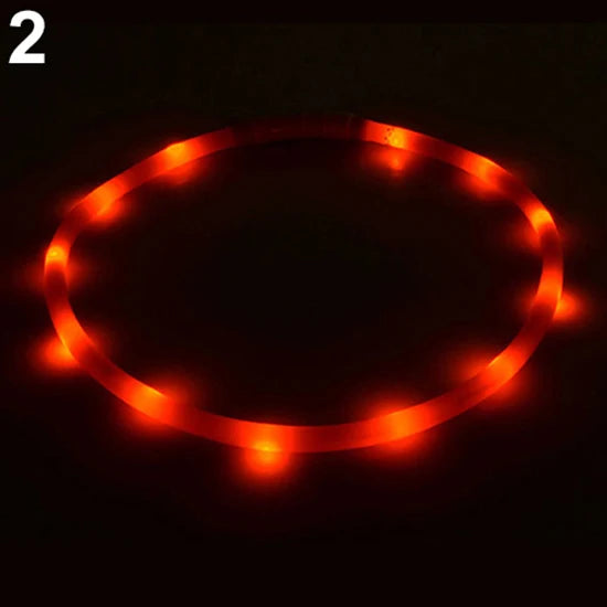 70CM USB Rechargeable LED Flashing Light Band Glow Collar