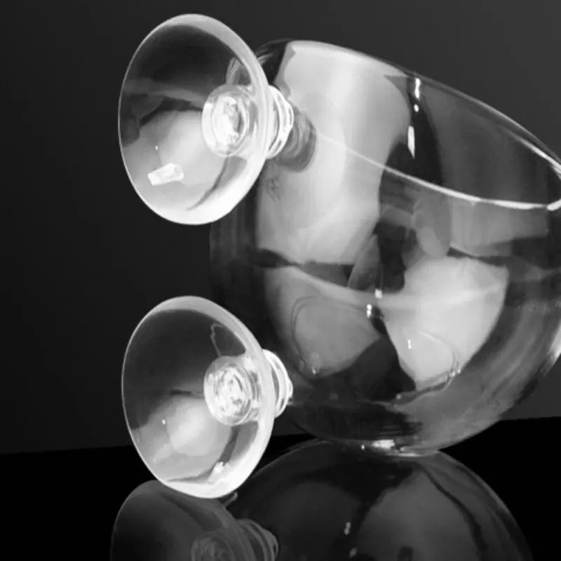 Aquarium Plant Holder Crystal Glass Suction Cups for Fish Tank