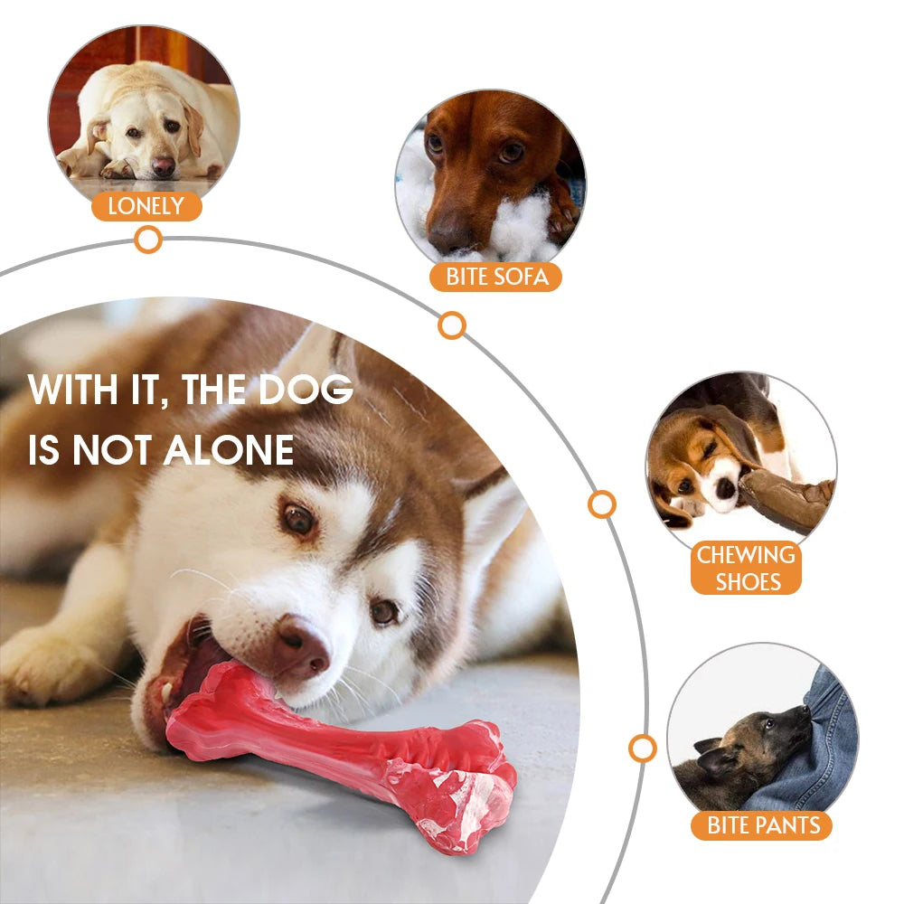 Pet Bone Chew Toy for Chewers with Durable Rubber