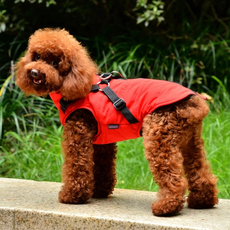 2 In 1 Dog Clothes With Harness Winter Warm Dog Jacket