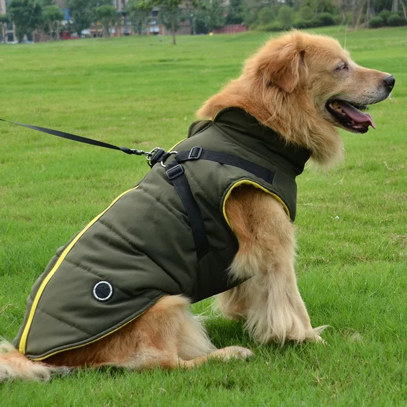 Winter Pet Dog Jacket With Buckle Labrador