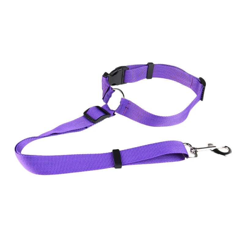 Dog Car Seat Belt Lead Leash Back Seat Safety Belt