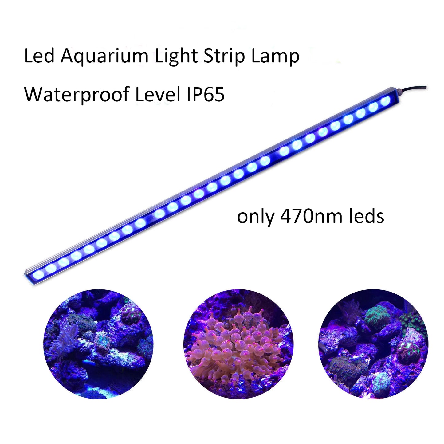 54W 81W 108W LED Bar Light IP65 Fish Tank