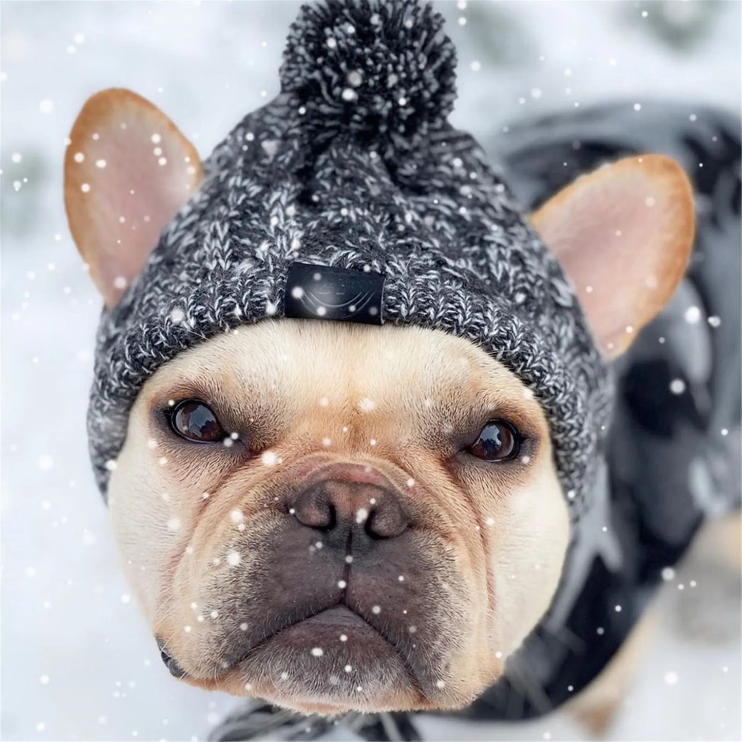 Winter Warm Windproof Knitting Hat For Dogs