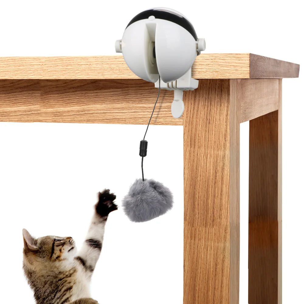 Pet Electric Automatic Lifting Ball Interactive Cat Toys