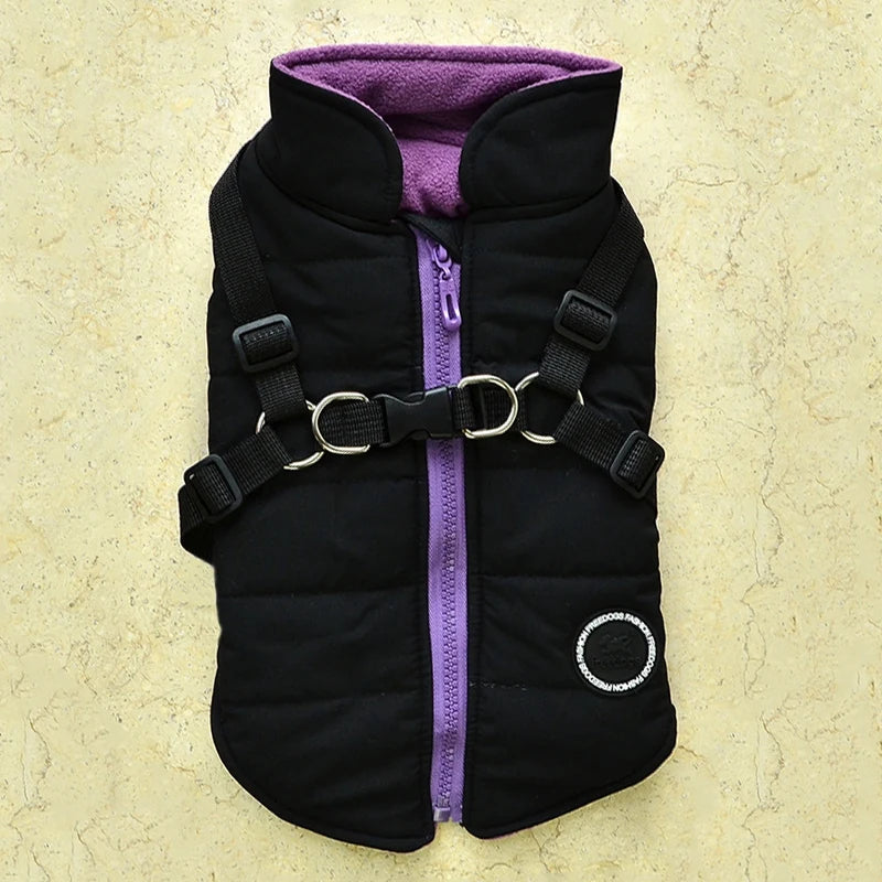 Winter Pet Dog Jacket With Buckle Labrador