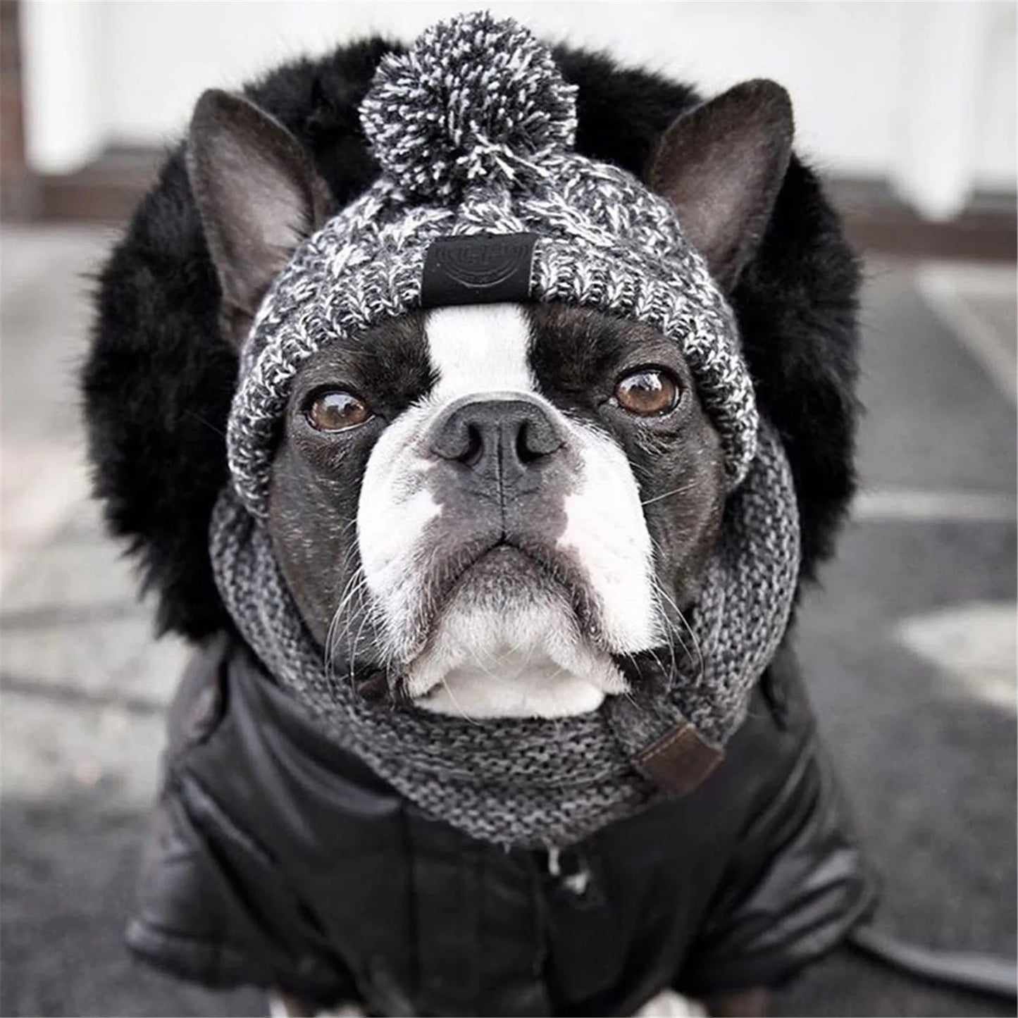 Winter Warm Windproof Knitting Hat For Dogs