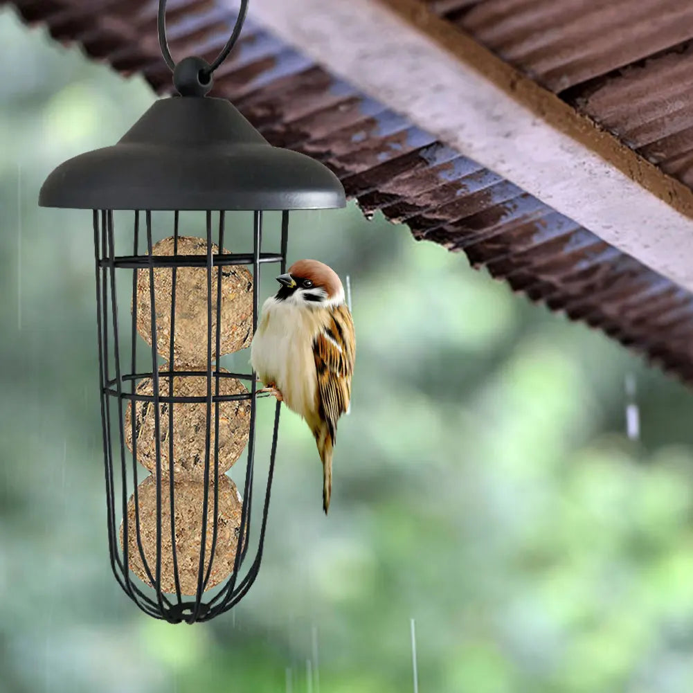 Hanging Bird Feeder Automatic Bird Food