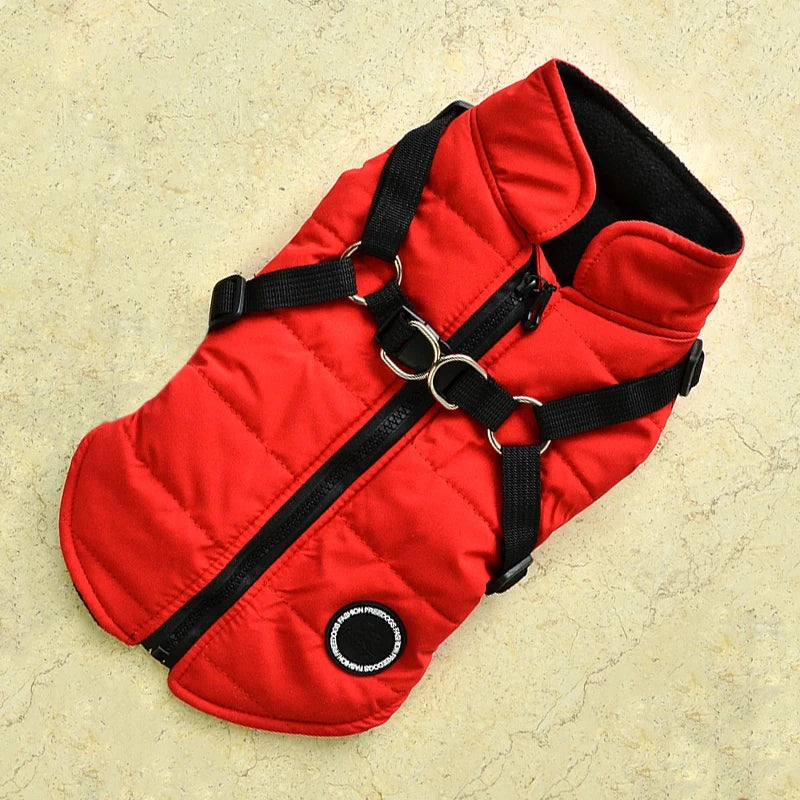 Winter Pet Dog Jacket With Buckle Labrador