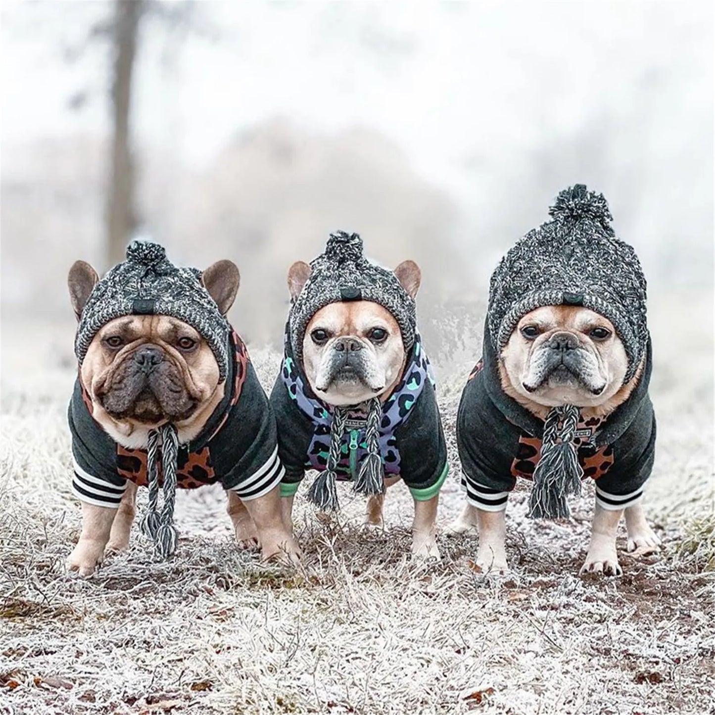Winter Warm Windproof Knitting Hat For Dogs