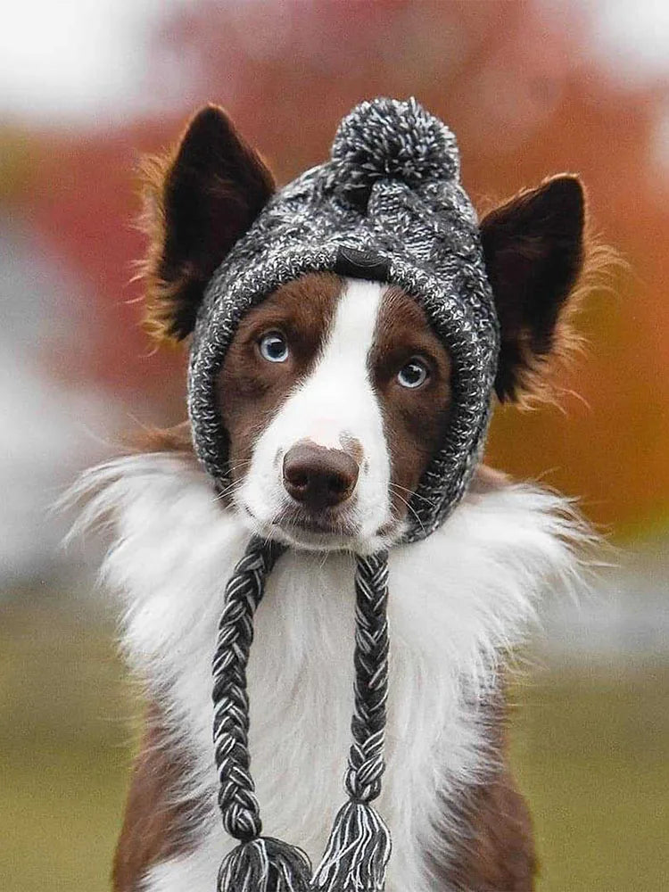 Winter Warm Windproof Knitting Hat For Dogs