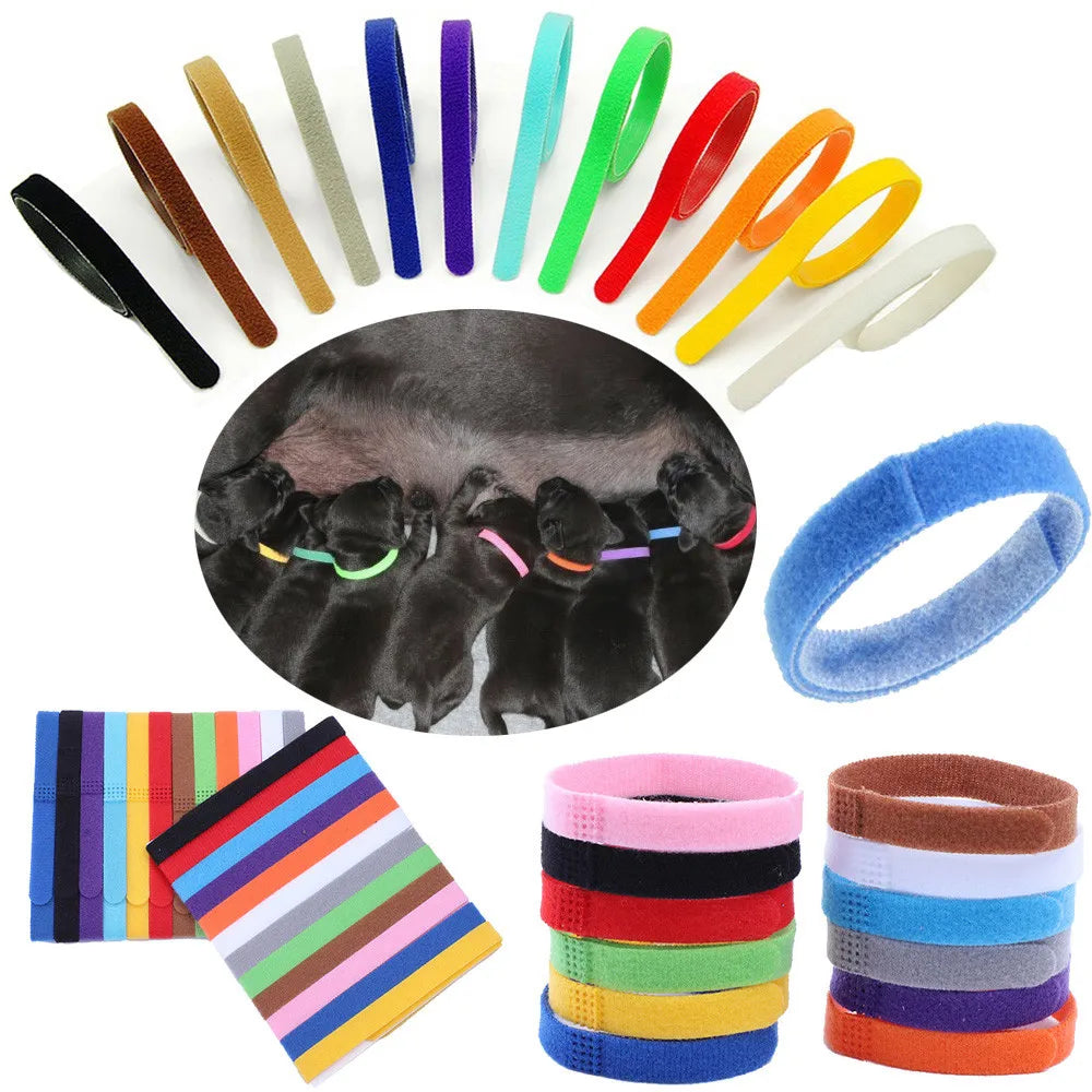 12 Colors Puppy ID Collar Nylon Identification Collars