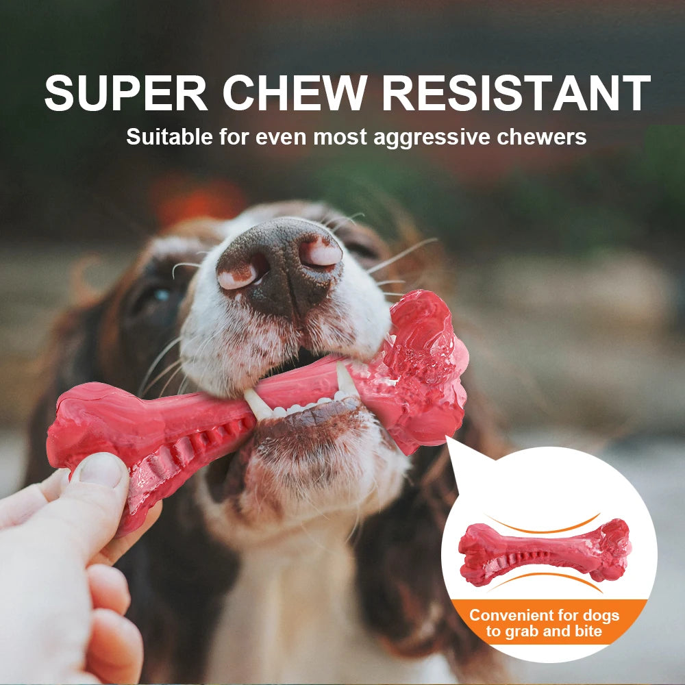 Pet Bone Chew Toy for Chewers with Durable Rubber