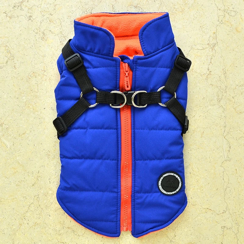 Winter Pet Dog Jacket With Buckle Labrador