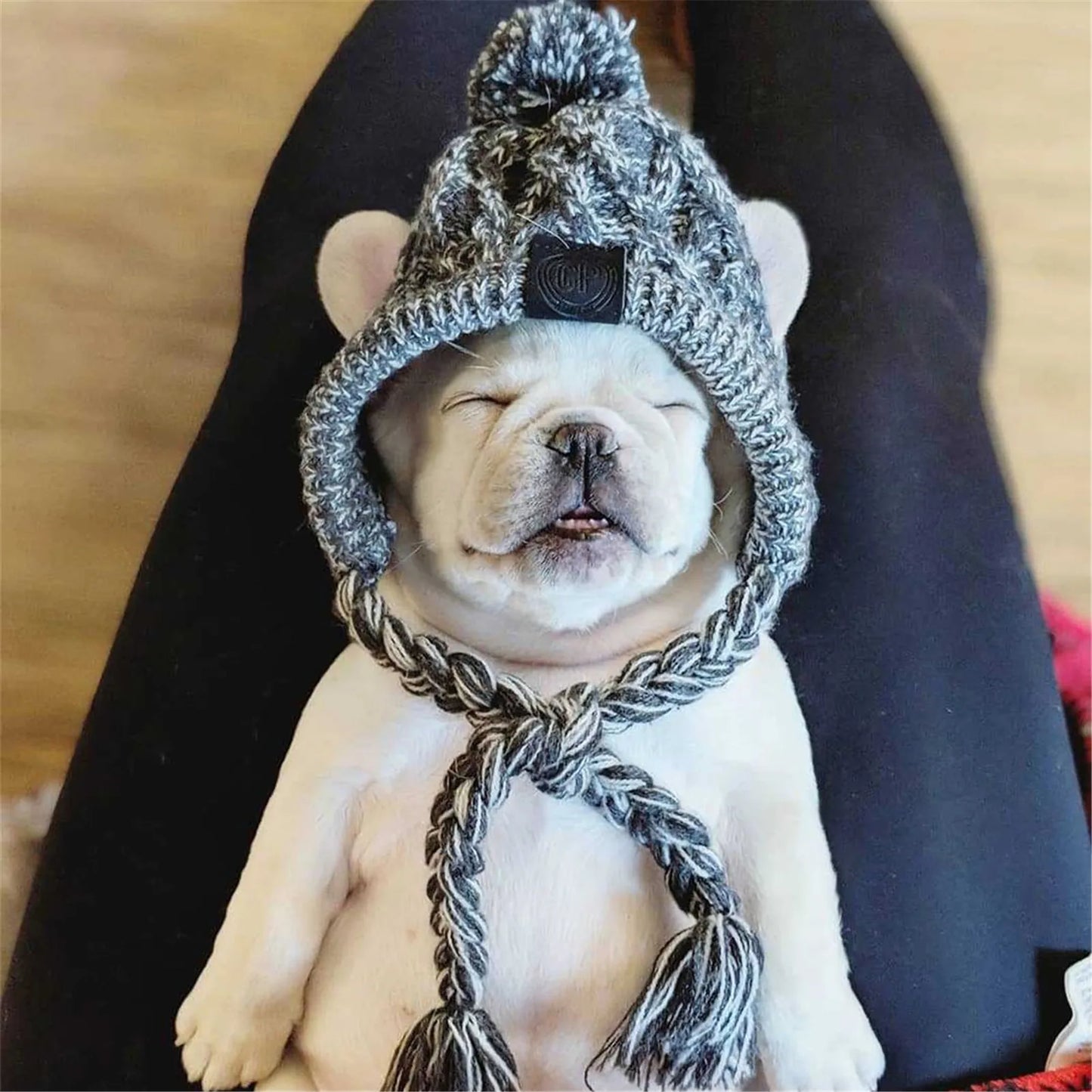 Winter Warm Windproof Knitting Hat For Dogs
