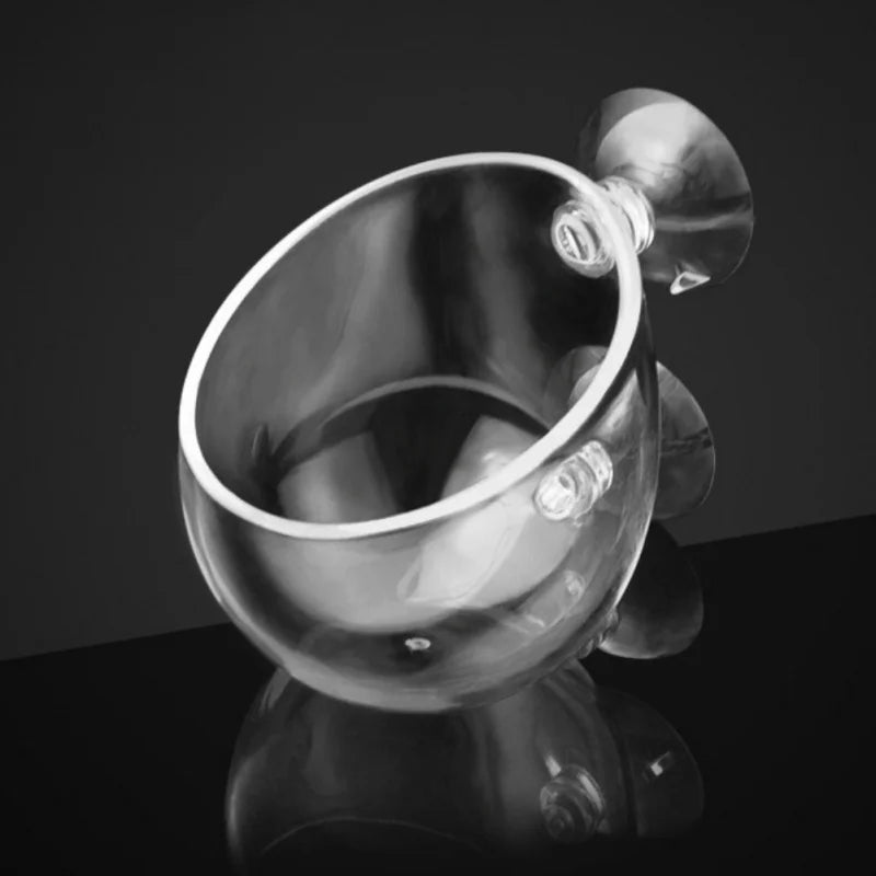 Aquarium Plant Holder Crystal Glass Suction Cups for Fish Tank