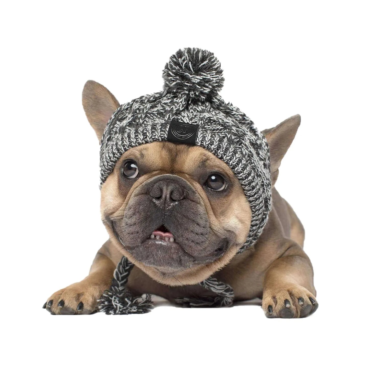 Winter Warm Windproof Knitting Hat For Dogs