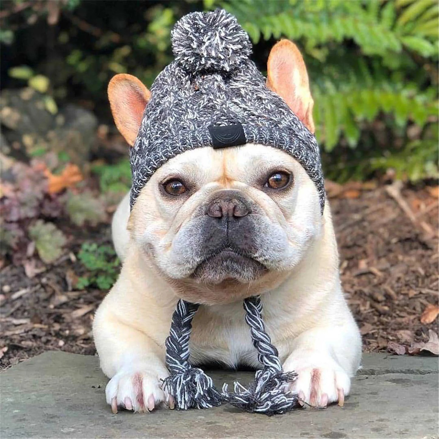 Winter Warm Windproof Knitting Hat For Dogs