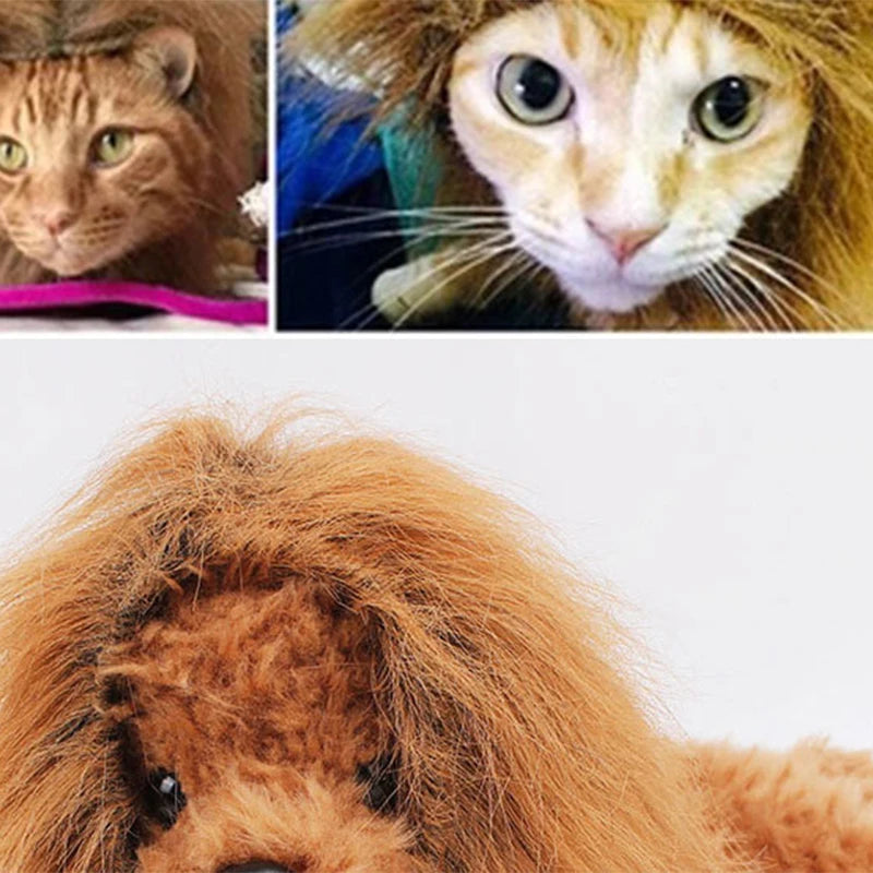 Cute Lion Mane Dog Wig Pet Cosplay Clothes With Tail for Dogs