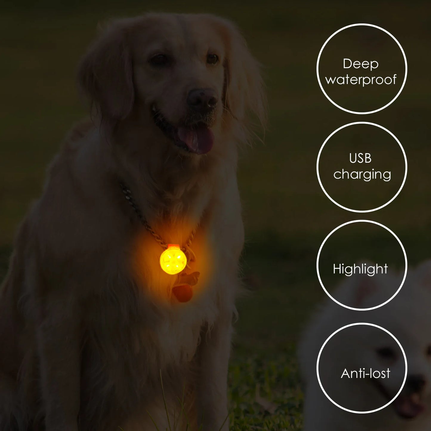 pets Collars Anti Loss Pendant Waterproof Safety Light