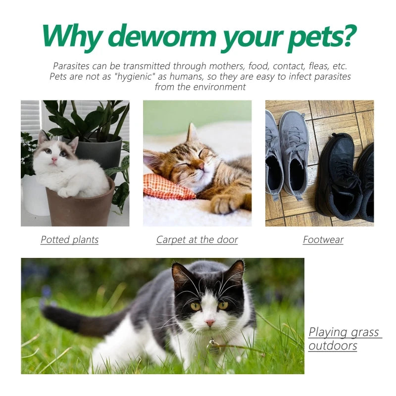 Pet Fleas and Ticks Collar Adjustable