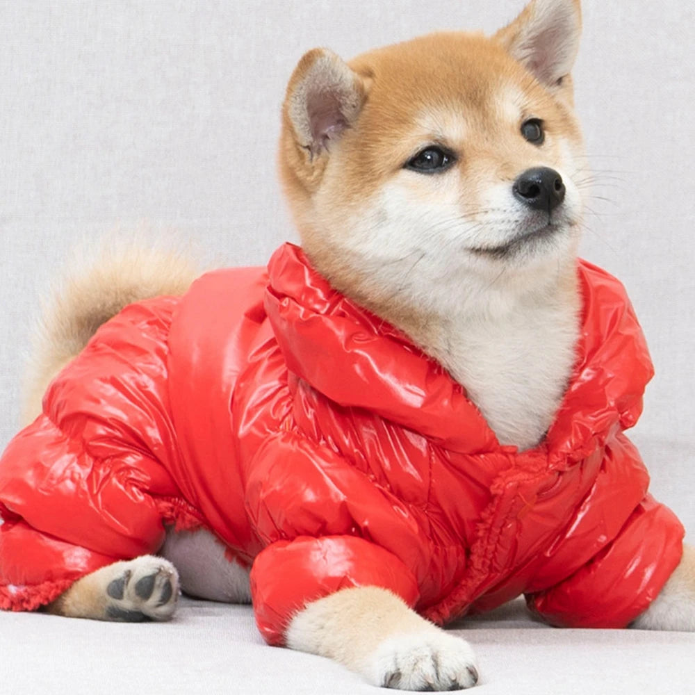 Dog or Cat Winter Faux Leather Waterproof Jumpsuit Hoodie