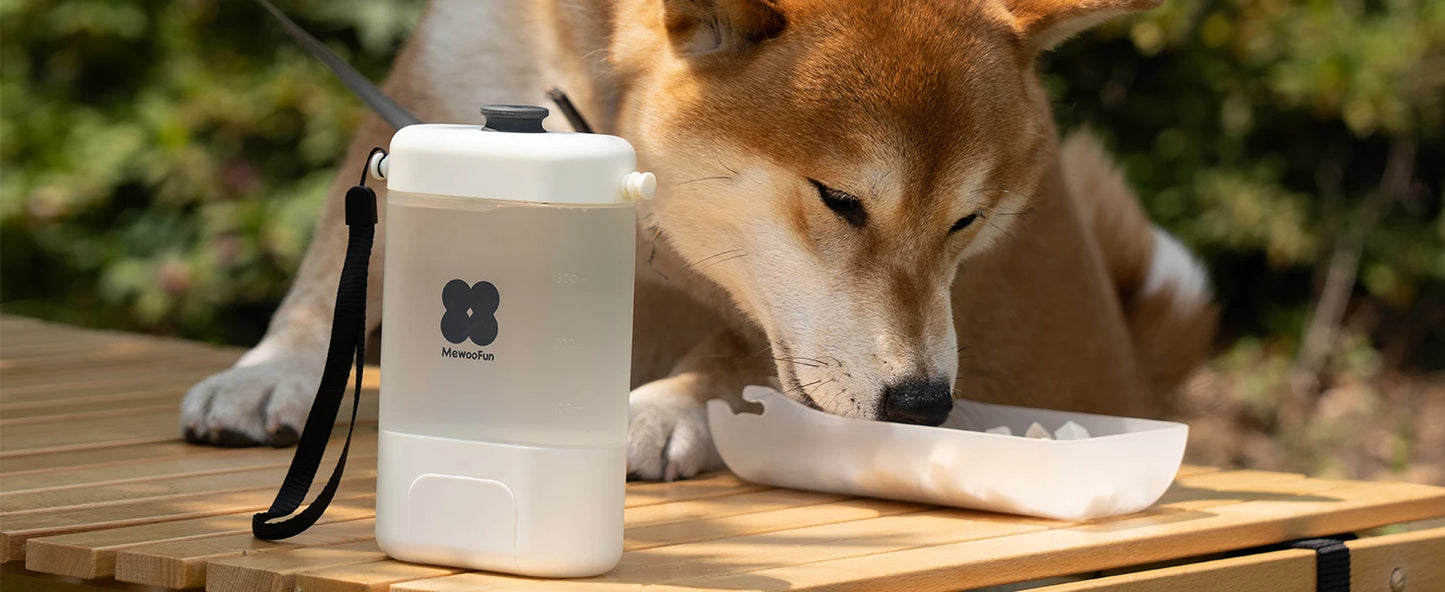 Mewoofun Portable Dog Water Bottle Leak Proof Water Bottle