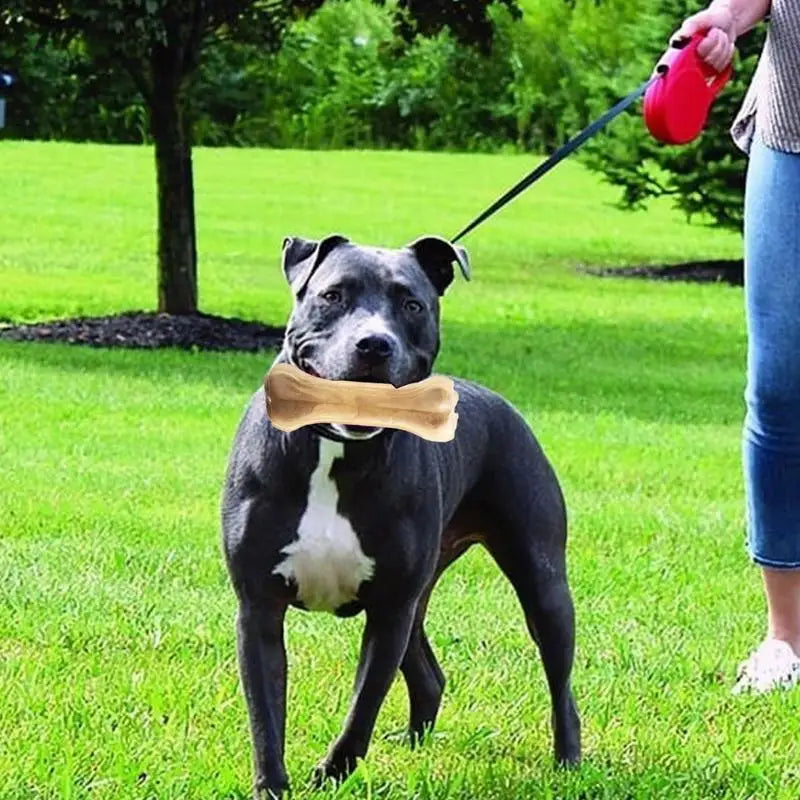 Dog Teething Bone Beef Flavor Chew Bone