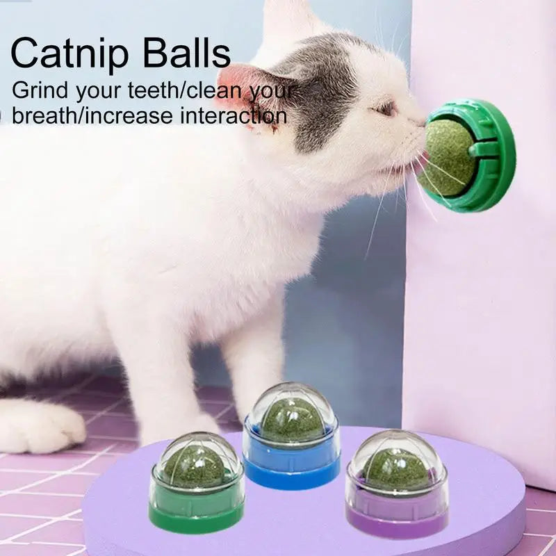 Catnip Balls Funny Lickable Snack Balls