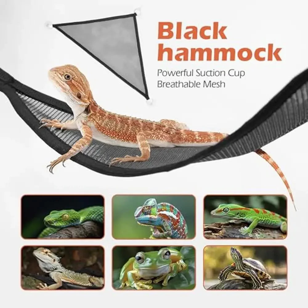 Reptile Terrarium Amphibian Tank Habitat