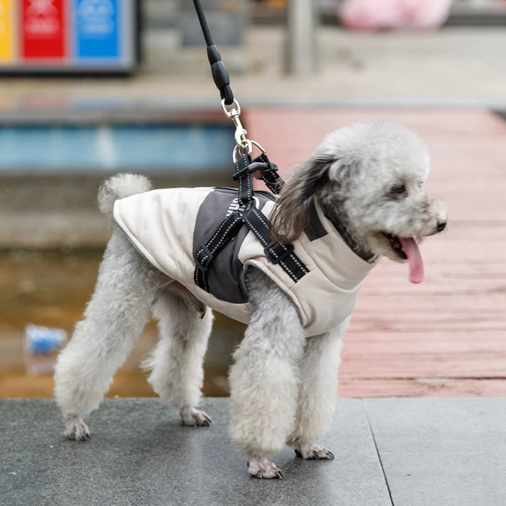 Winter Pet Dog Jacket With Harness Clothes Waterproof