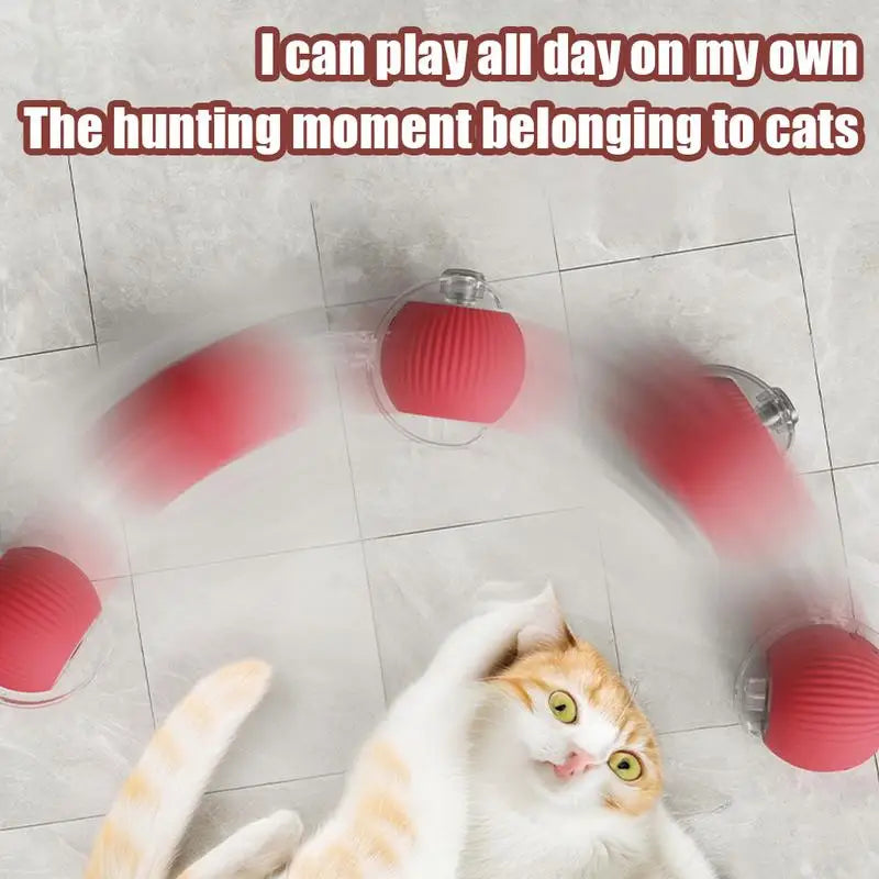 Interactive Cat Rolling Ball Super Drive Toy
