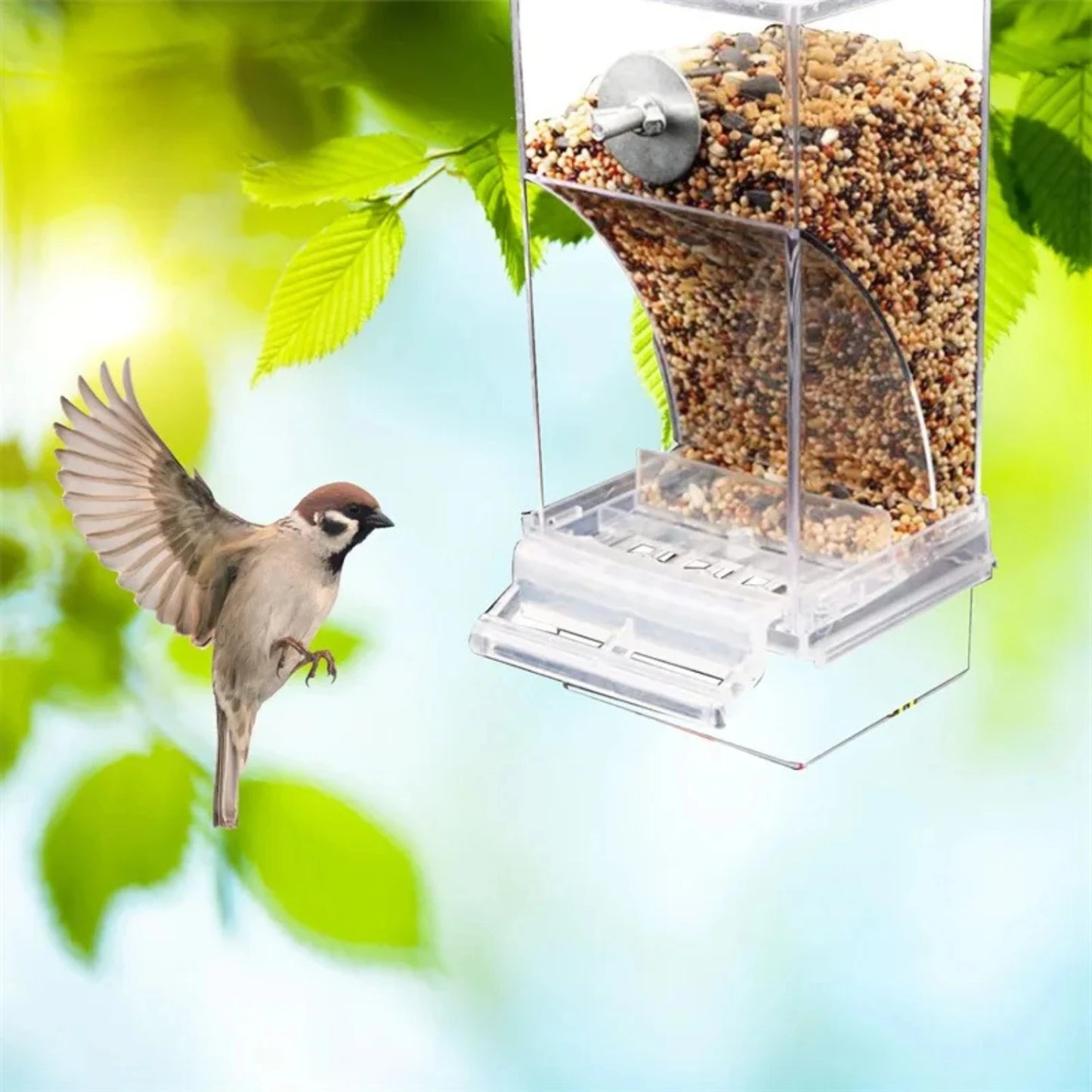 Small and Medium Automatic Acrylic Parakeet Bird Feeders