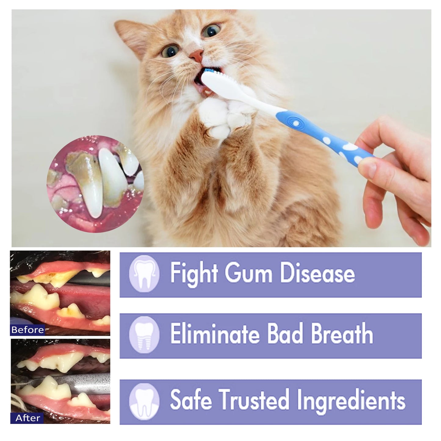 Pets V34 Cleaning Toothpaste Dental Fresh breath