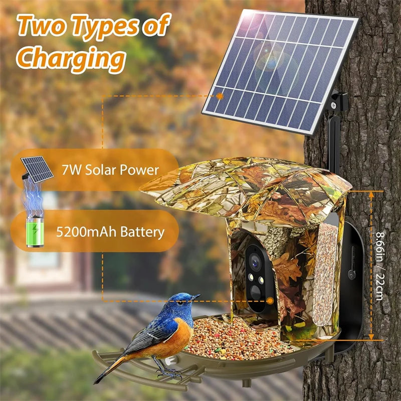 Smart Bird Feeder Camera Solar Powered