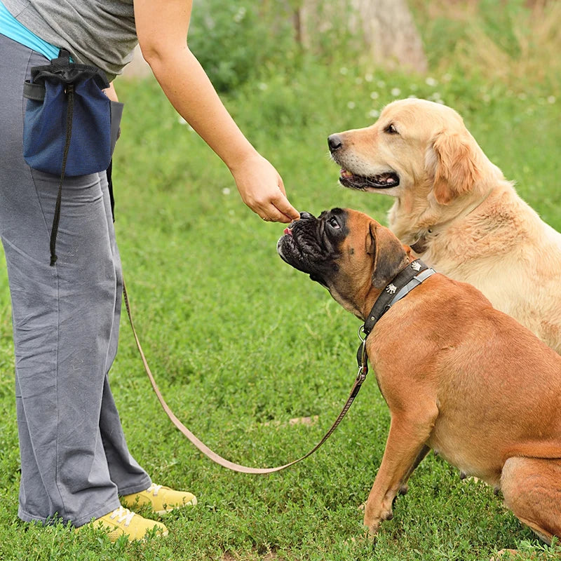 Dog Treat Pouch Portable Outdoor Feeding Training Bags Pet Snack