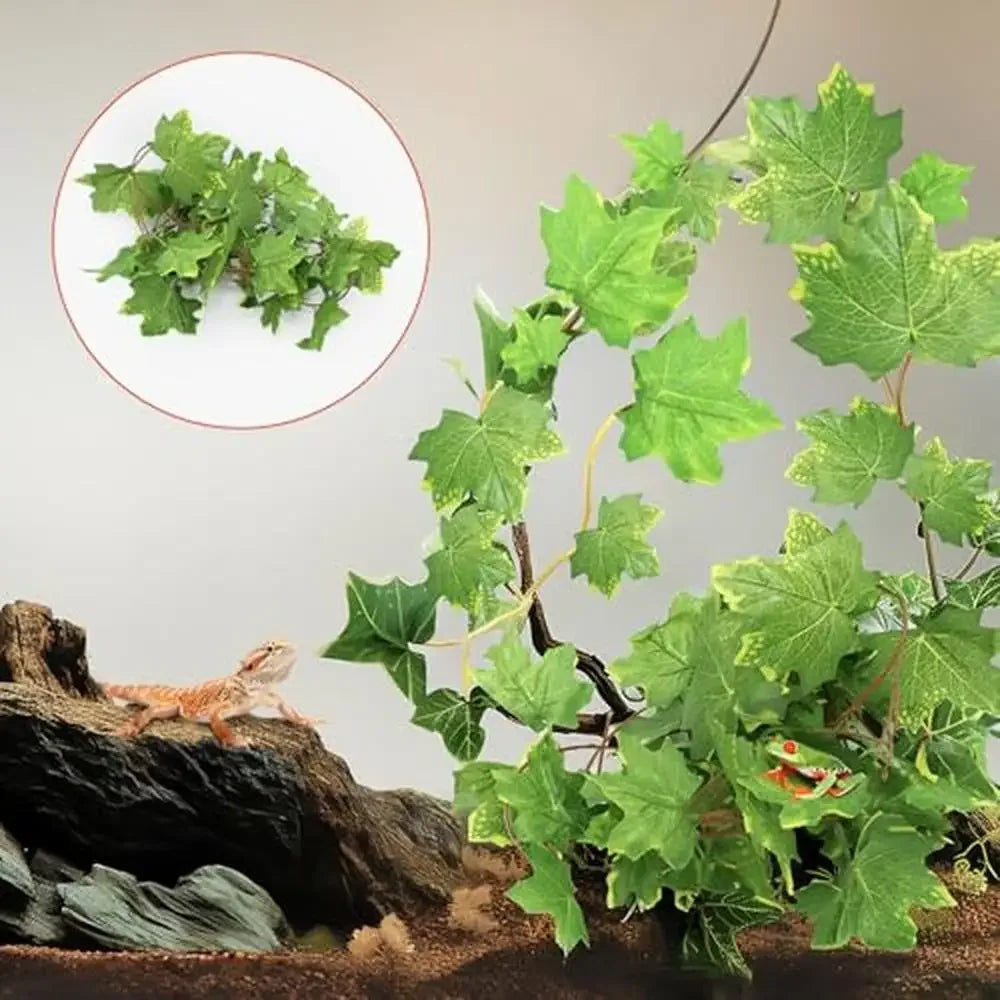 Reptile Terrarium Amphibian Tank Habitat