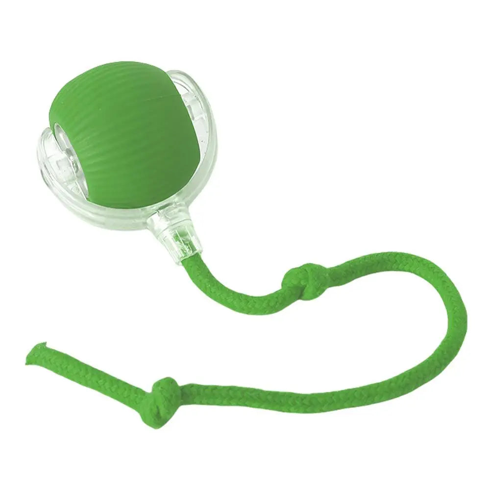Interactive Cat Rolling Ball Super Drive Toy