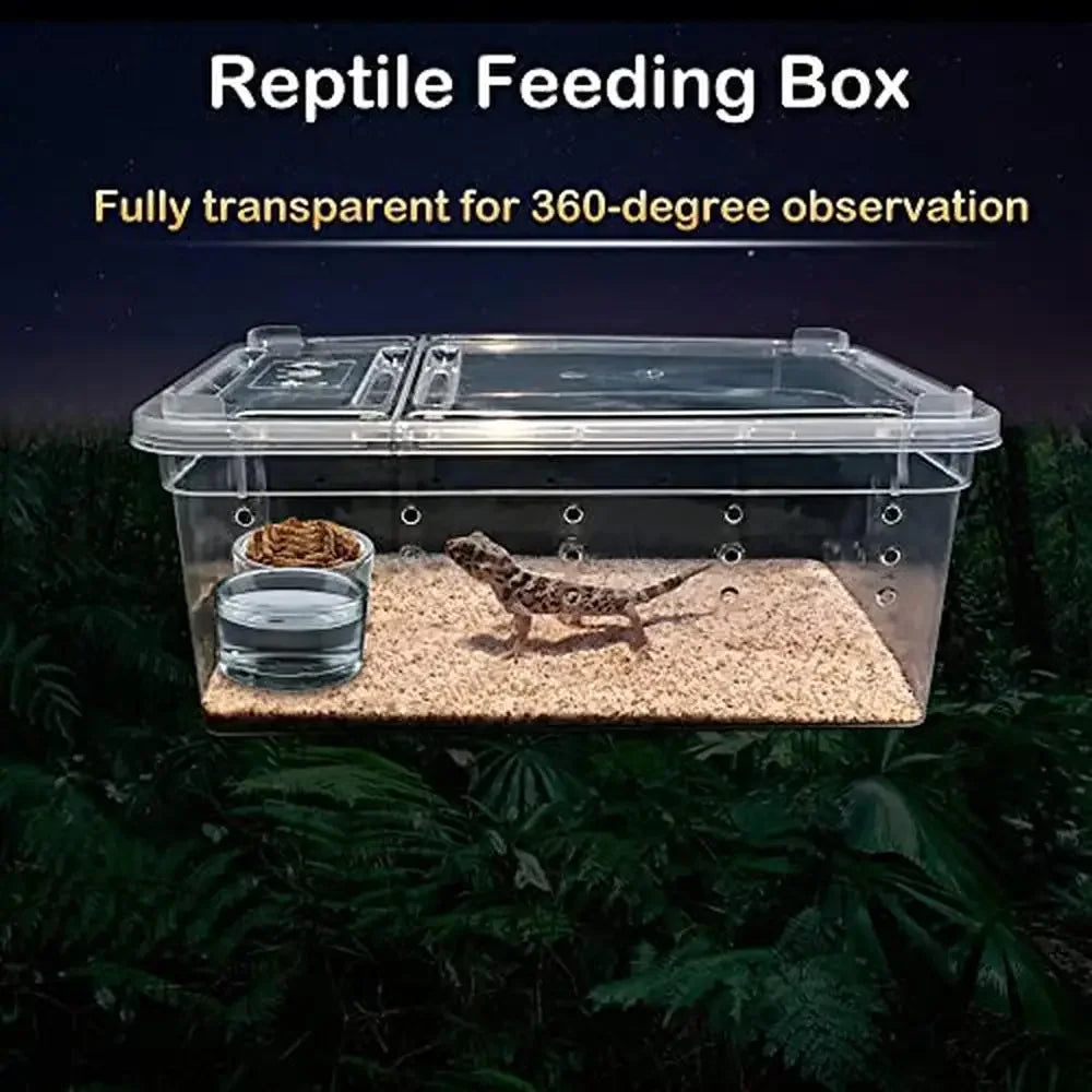 Reptile Feeding Box Plastic Transparent Breeding Habitat