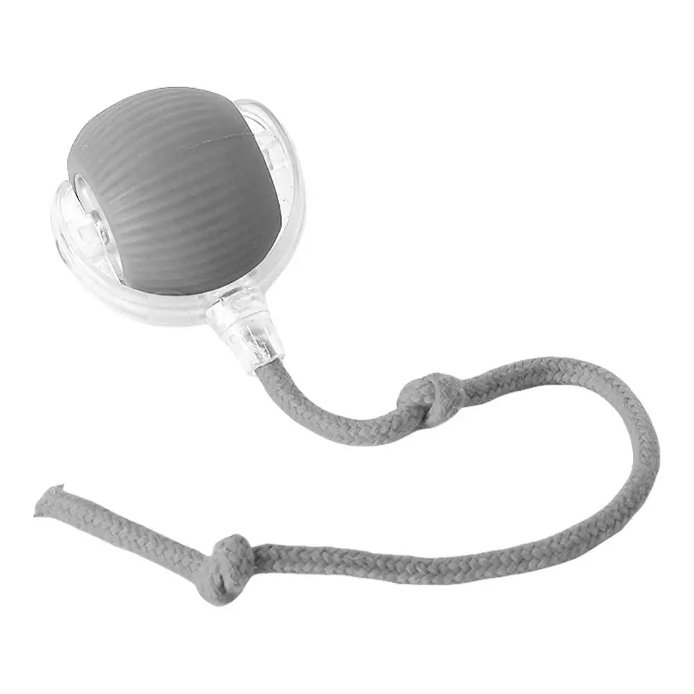 Interactive Cat Rolling Ball Super Drive Toy