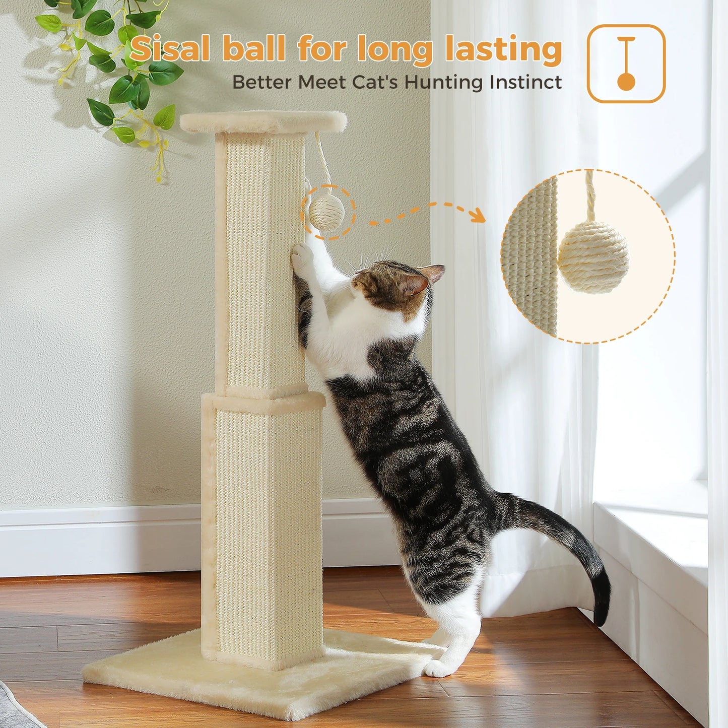 Cat Scratching Post for Indoor Scratcher