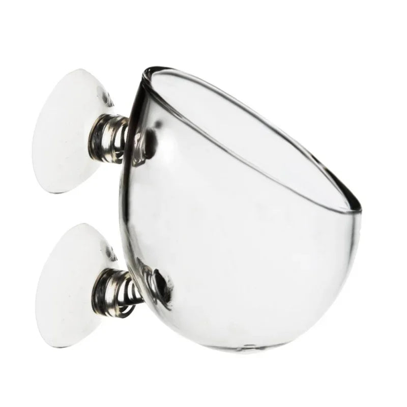 Aquarium Plant Holder Crystal Glass Suction Cups for Fish Tank